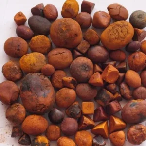 cow ox gallstone