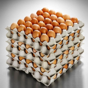 Buy Quality Fresh Table Eggs