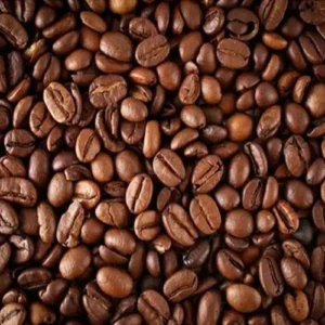 robusta roasted coffee beans
