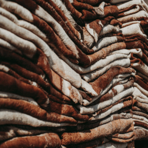 Buy Bulk Wet Salted Cow Hides