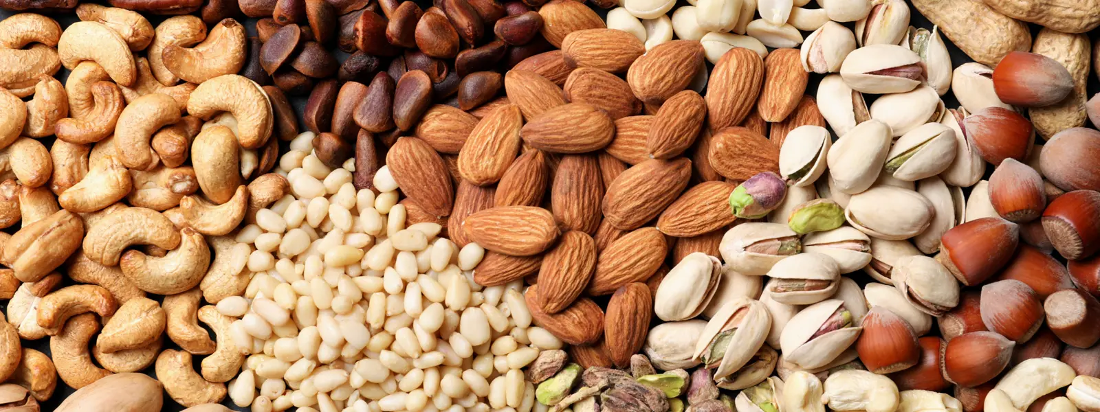 a group of different types of nuts