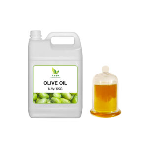 Premium Extra Virgin Olive Oil for Sale
