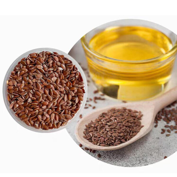 Premium Almond Oil for Sale